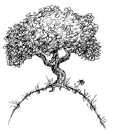 black and white tree drawing